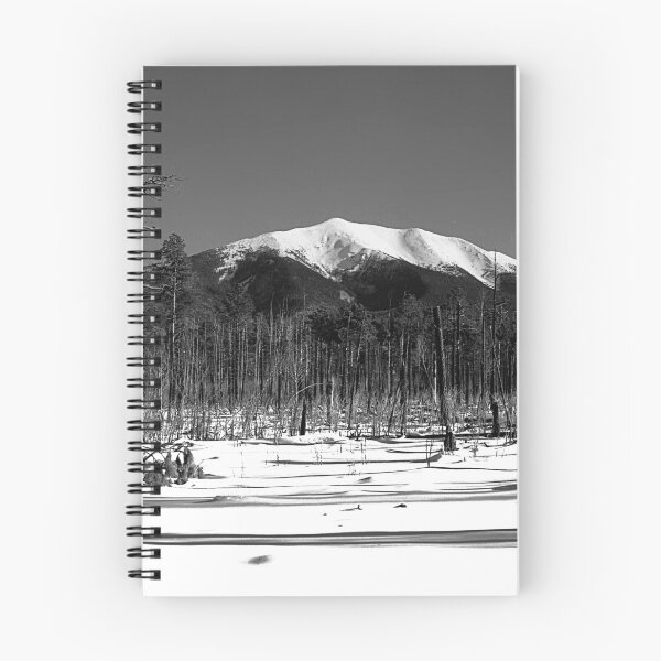 Item preview, Forest fire aftermath designed and sold by Rees Gordon.