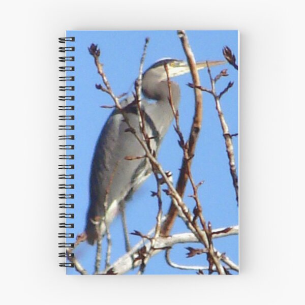 Item preview, Great Blue Heron designed and sold by tkrosevear.