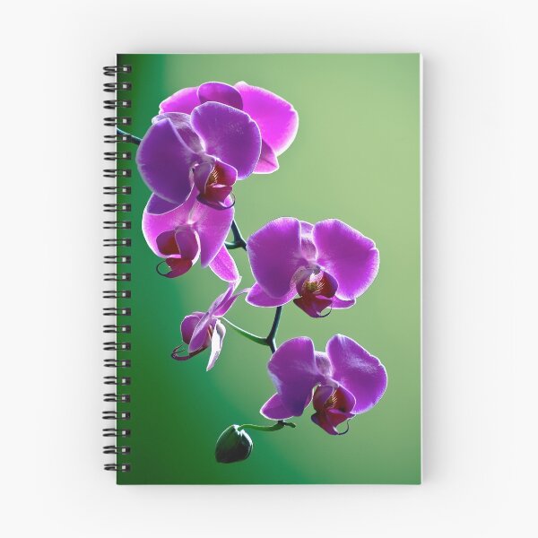 Item preview, Purple on Green designed and sold by olivia destandau.