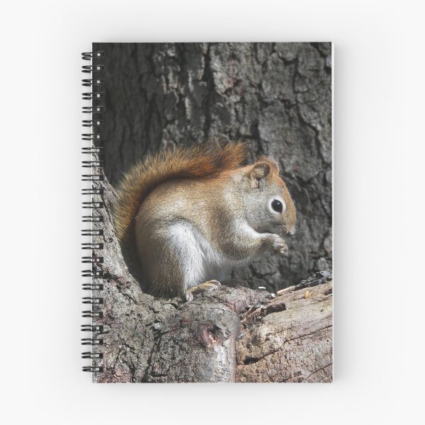 Artikelvorschau, The Red Squirrel entworfen und verkauft von madmac57.