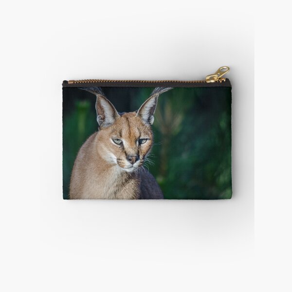Item preview, Caracal designed and sold by Kyra C. Kalageorgi.