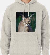 Caracal Sweat à capuche épais