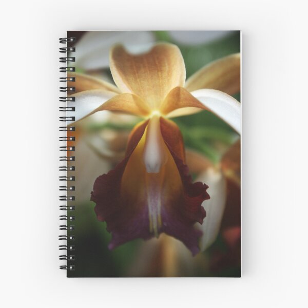 Artikelvorschau, Orchid entworfen und verkauft von Chris Summerville.