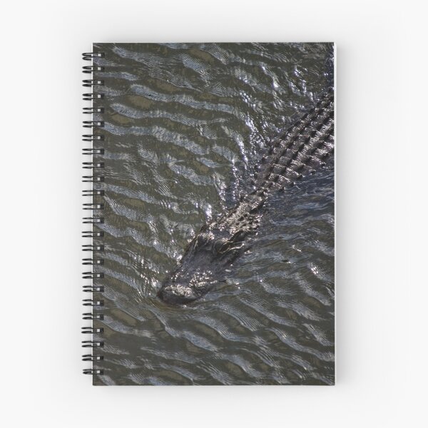 Item preview, Ripples designed and sold by Stephen Beattie.