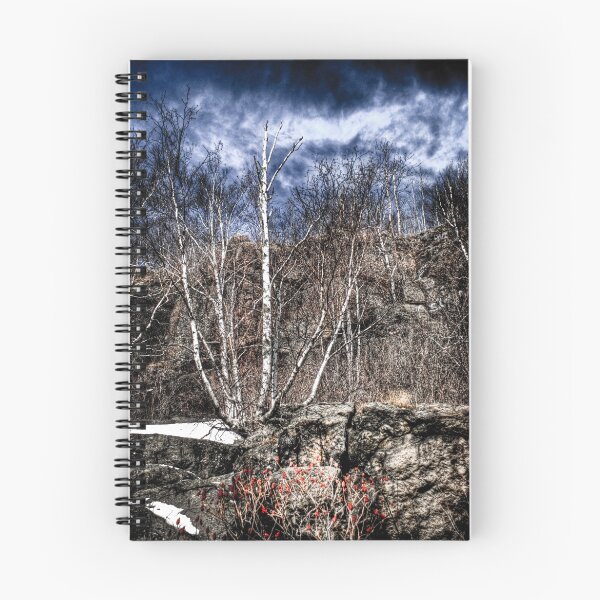 Item preview, "Top of the Hill" designed and sold by raberry.