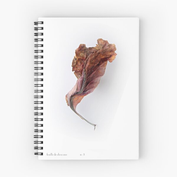 Item preview, Feuille de Chou no.3 designed and sold by Jeff Moorfoot.