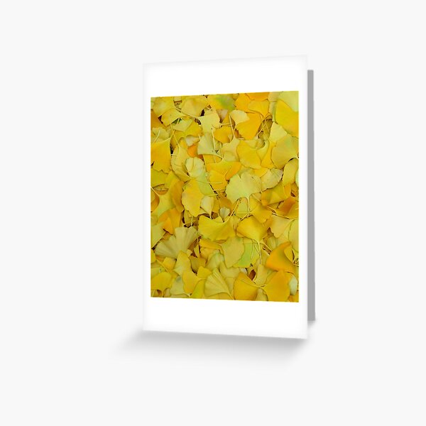 Gingko Greeting Card