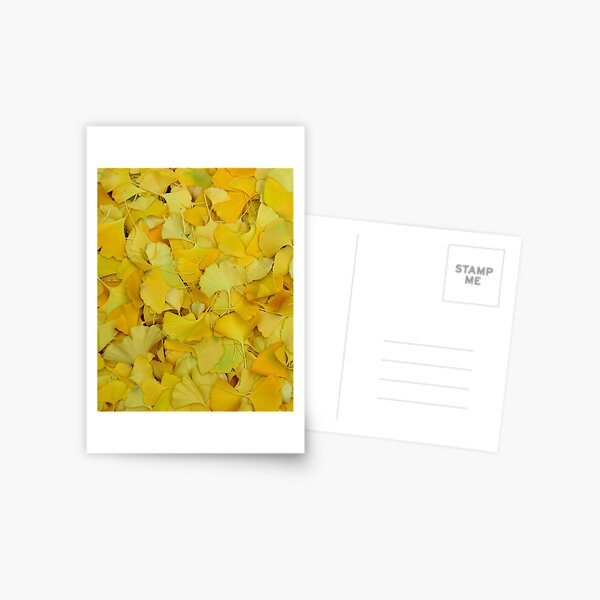 Gingko Postcard