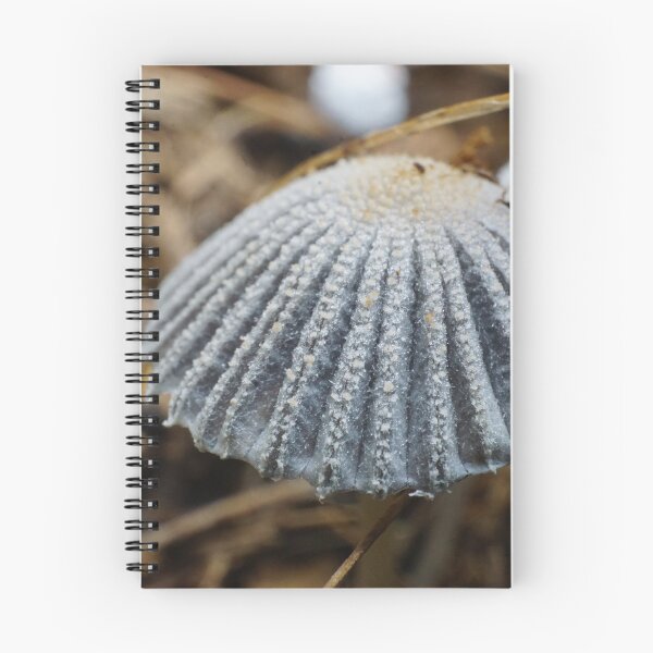 Item preview, mini mushroom very macro designed and sold by BigAndRed.
