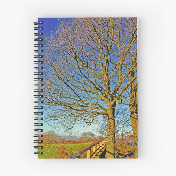Aperçu de l'œuvre Tree créée et vendue par SolidImages.