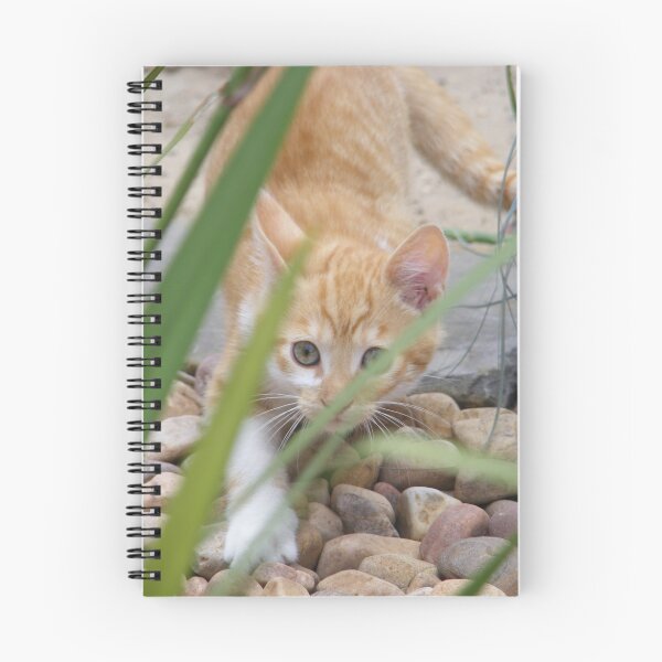 Item preview, 'When I Grow Up I Want To Be A Tiger' designed and sold by Emmahleee.