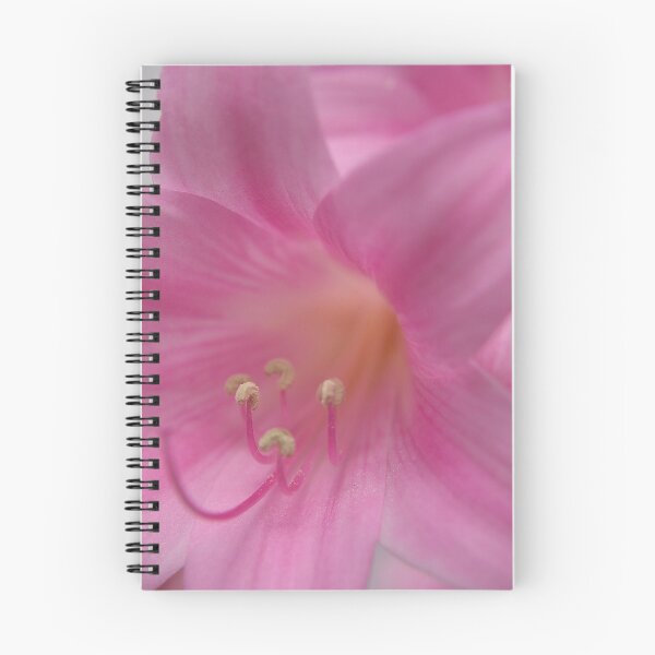 Item preview, Pretty in Pink designed and sold by gypsygirl.