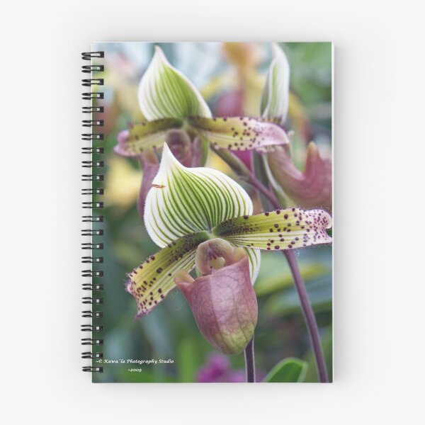 Item preview, Smith College Greenhouse Orchid Room designed and sold by Dennis  Stanton.