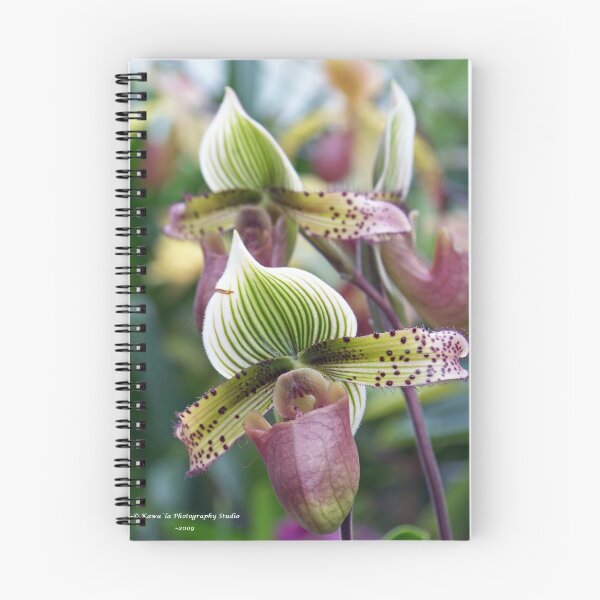 Item preview, Smith College Greenhouse Orchid Room designed and sold by Dennis  Stanton.