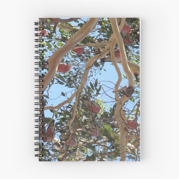 Item preview, Galahs Roosting designed and sold by Skyhorse.