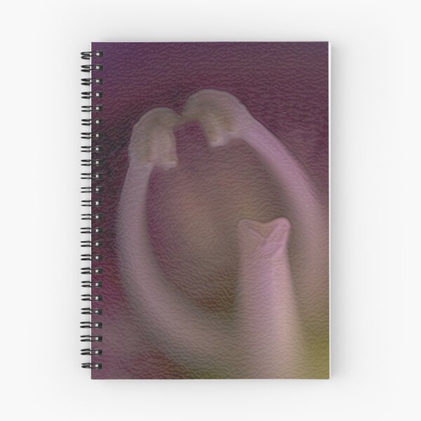 Item preview, Gloxinia applause designed and sold by Steve  Woodman.