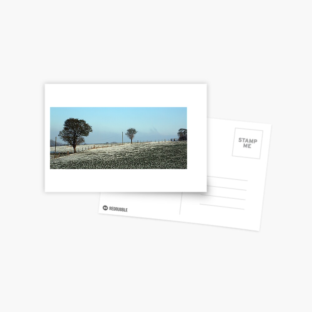 Item preview, Postcard designed and sold by lizgarnett.