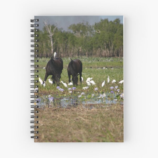 Item preview, Brumbies on the floodplain (Kakadu) designed and sold by InNature.