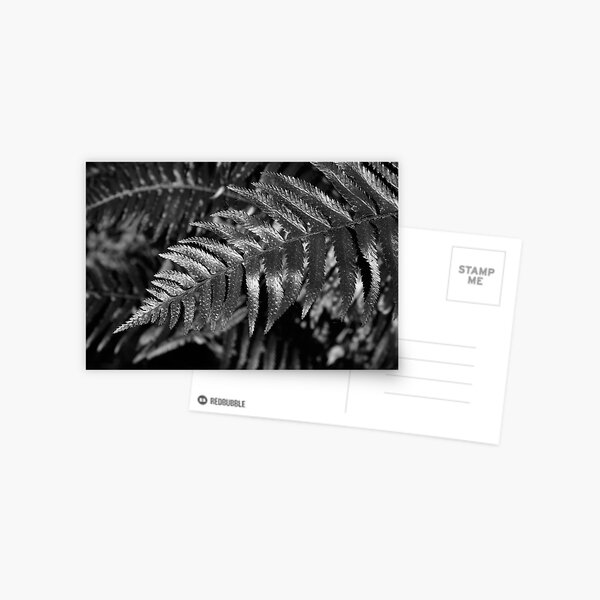 Item preview, Sword Fern designed and sold by rdshaw.