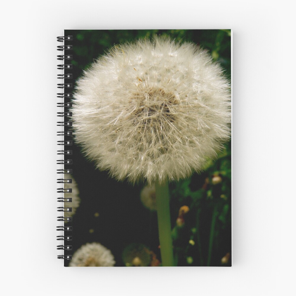 Vista previa del artículo con la obra «Cuaderno de espiral», diseñado y vendido por RuthBaker.