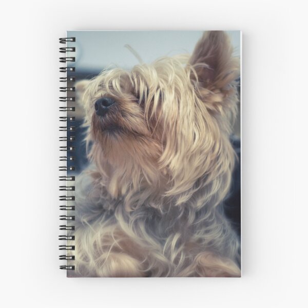 Item preview, Max the Yorkshire designed and sold by Jakov Cordina.