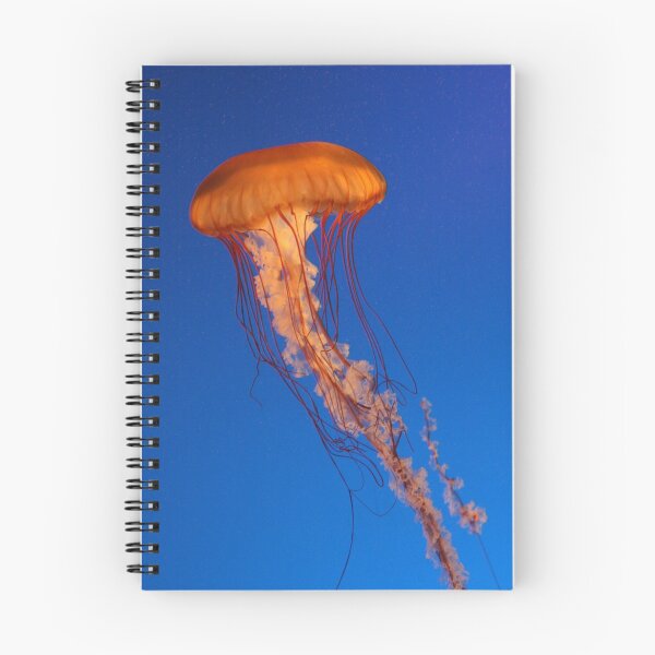 Artikelvorschau, Jellyfish entworfen und verkauft von Katrin21.