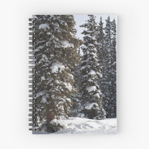 Aperçu de l'œuvre Snowy Woods créée et vendue par Linda J Armstrong.