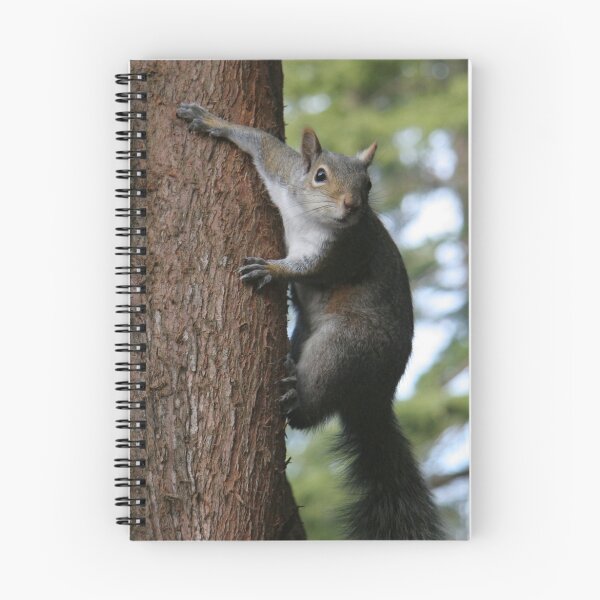 Artikelvorschau, Squirrel in a Tree entworfen und verkauft von Katrin21.