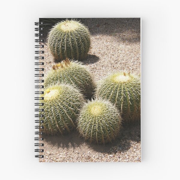 Item preview, Cactus Balls designed and sold by Sue  Fuller.