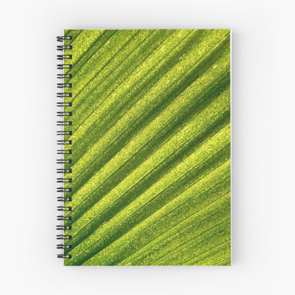 Artikelvorschau, Palm Leaf entworfen und verkauft von Fillabong3011.