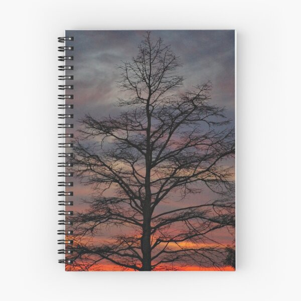 Item preview, Sunset Cypress designed and sold by Angel Perry.