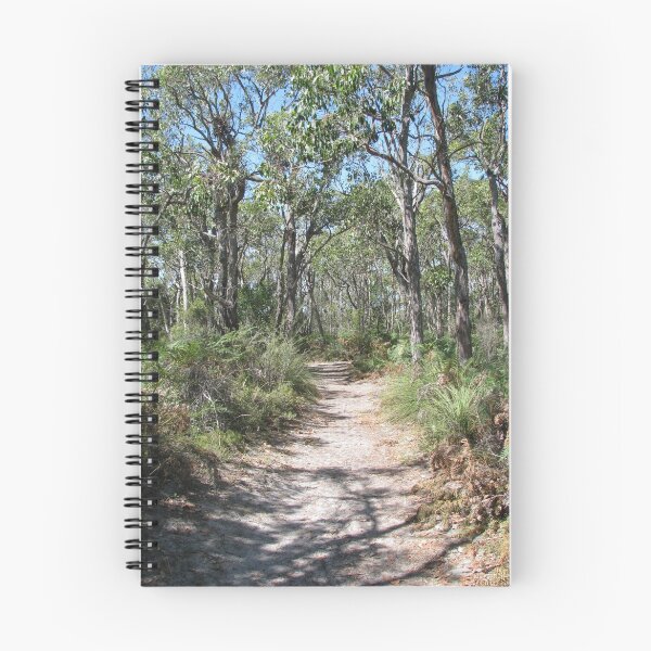 Aperçu de l'œuvre Bush Track - Glenelg River créée et vendue par Robert Jenner.