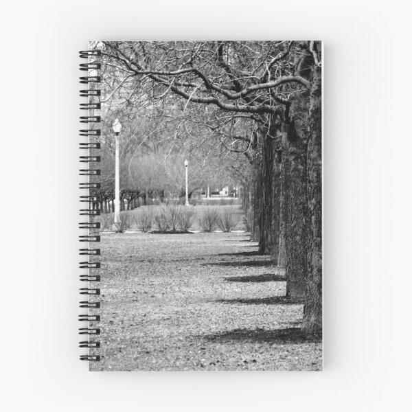 Aperçu de l'œuvre Arbres et poteaux lumineux créée et vendue par David Piszczek.