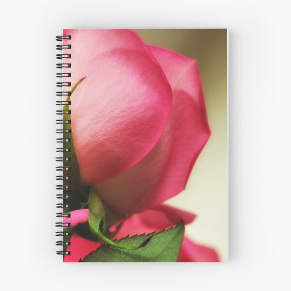 Item preview, A  Rose For You.... designed and sold by Jarede Schmetterer.