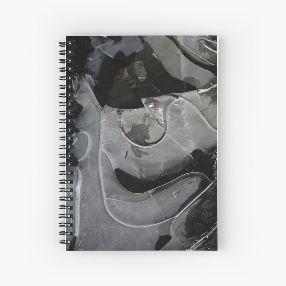 Ice Ice Spiral Notebook