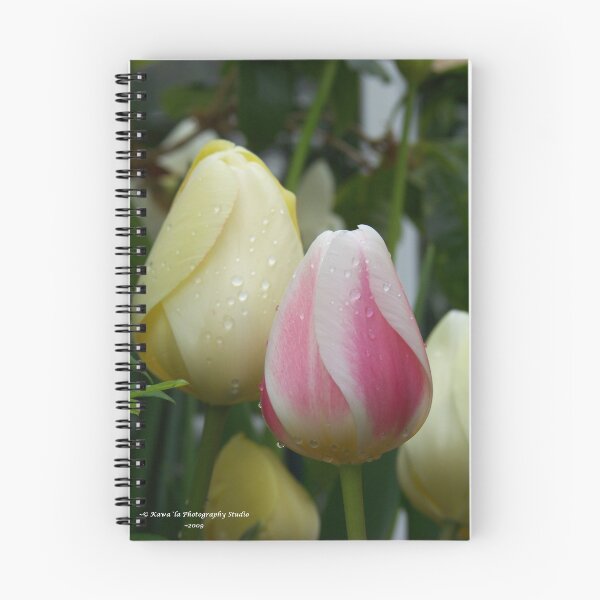 Item preview, Pink & Yellow Tulips designed and sold by Dennis  Stanton.