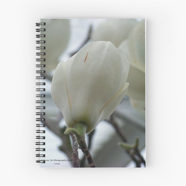 Item preview, Tulip  Tree (closed) designed and sold by Dennis  Stanton.