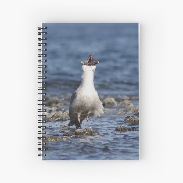 Seastar Swallow Spiral Notebook