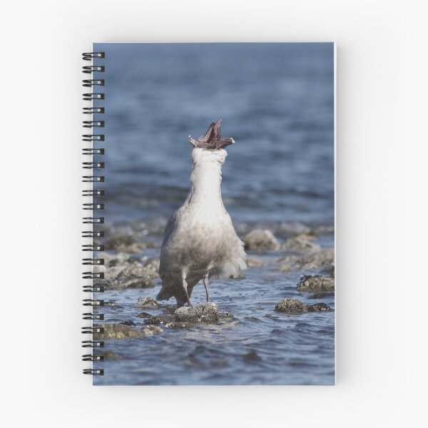 Aperçu de l'œuvre Seastar Swallow créée et vendue par SparrowImages.