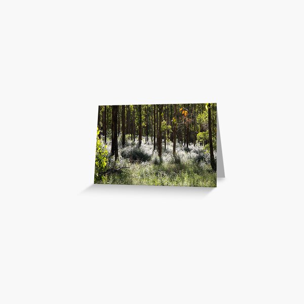 Item preview, landscapes #196, silver glow designed and sold by stickelsimages.
