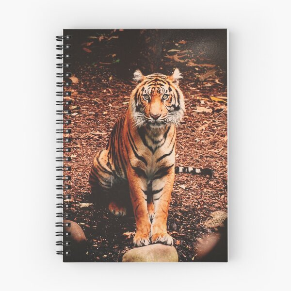 Item preview, Big Cat designed and sold by CelebrateCreation Charity Photographic Exhibition.