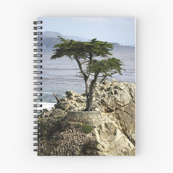 Item preview, Lone Cypress designed and sold by Anne-Marie Bokslag.