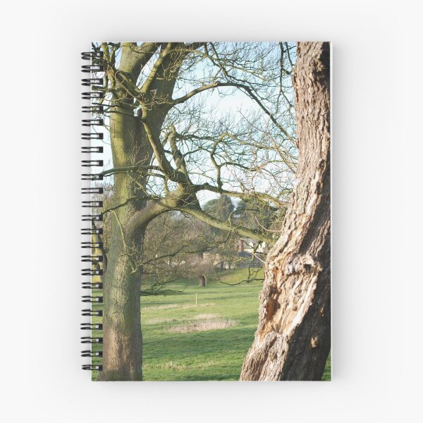 Item preview, Pipewell, Northants designed and sold by Jason Clarke.