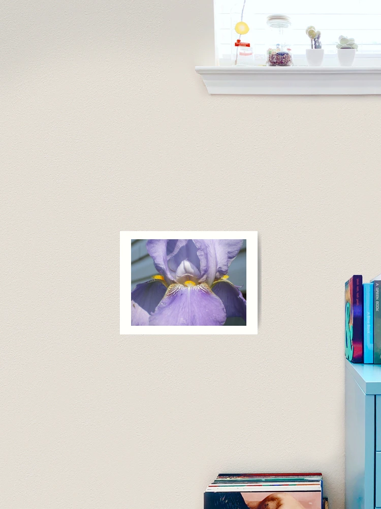 Thumbnail 2 von 3, Kunstdruck, Looking In designt und verkauft von Ravred.