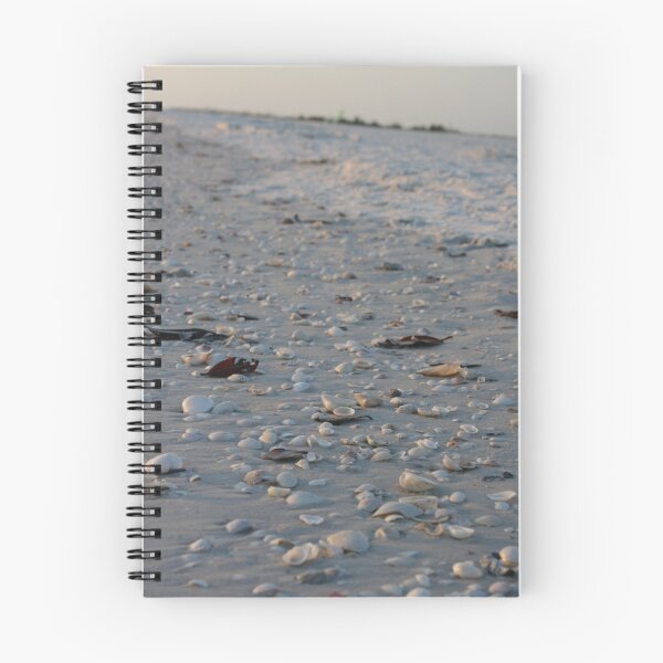 Item preview, Shelling on Marco Island designed and sold by alina98.