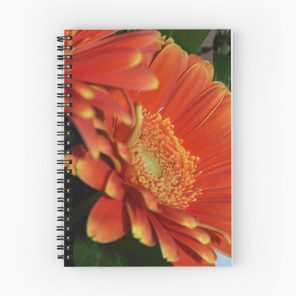 Item preview, Orange Beauty designed and sold by Kimberly  Dugan.