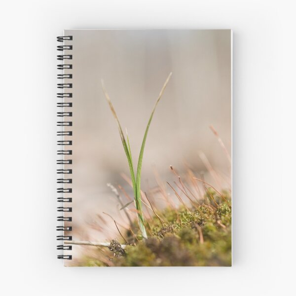 Item preview, grass in moss designed and sold by jude walton.