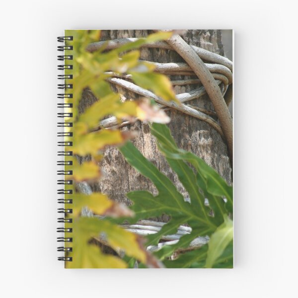 Item preview, Captive designed and sold by Elizabeth Bravo.