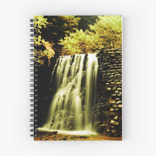 Item preview, Fountain of youth designed and sold by Bogdan Ciocsan.