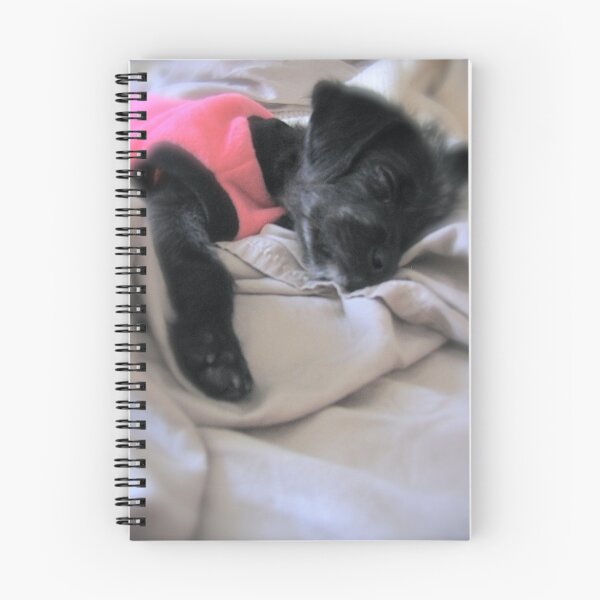 Item preview, To Sleep... Perchance To Dream designed and sold by Jennifer Ferry.